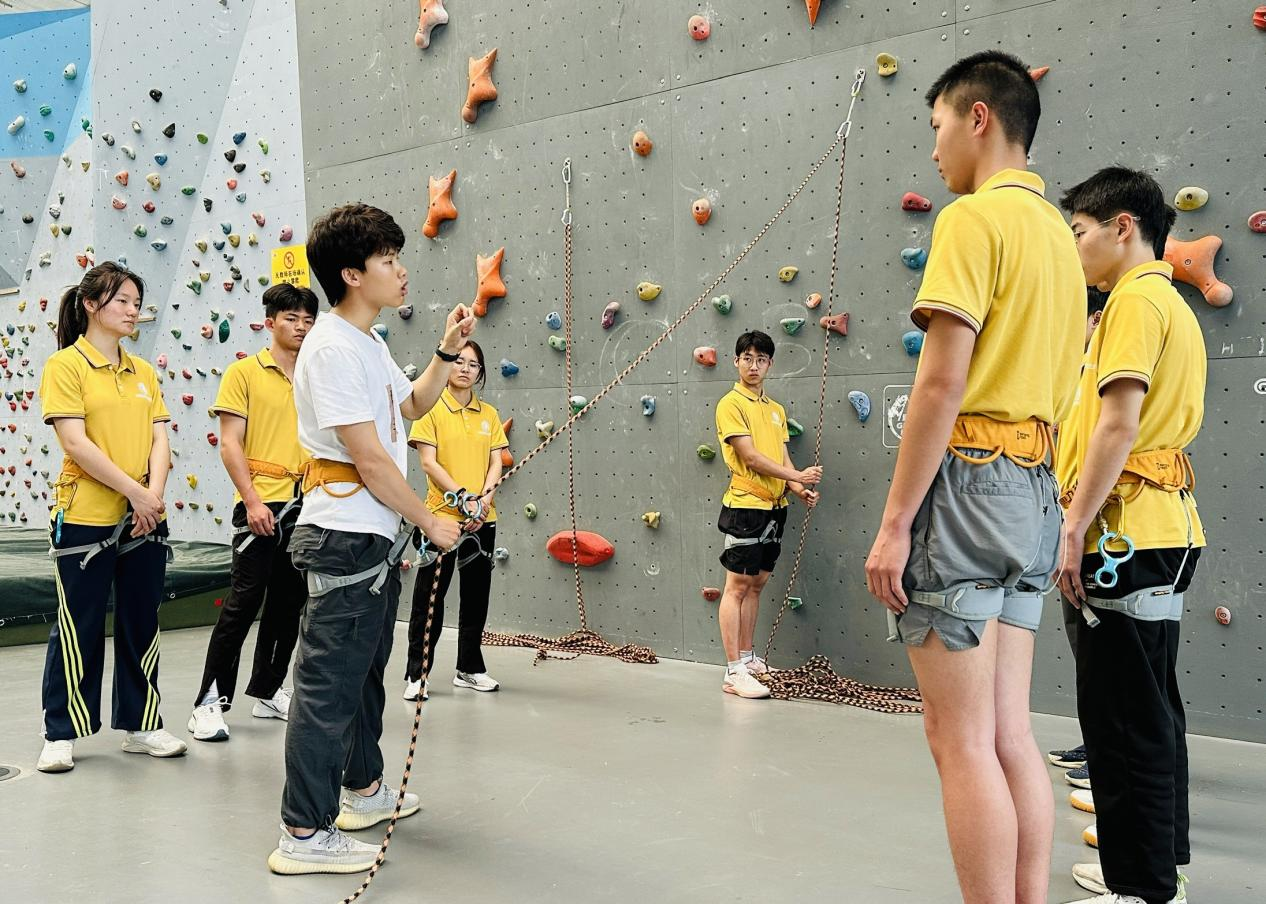 图片6