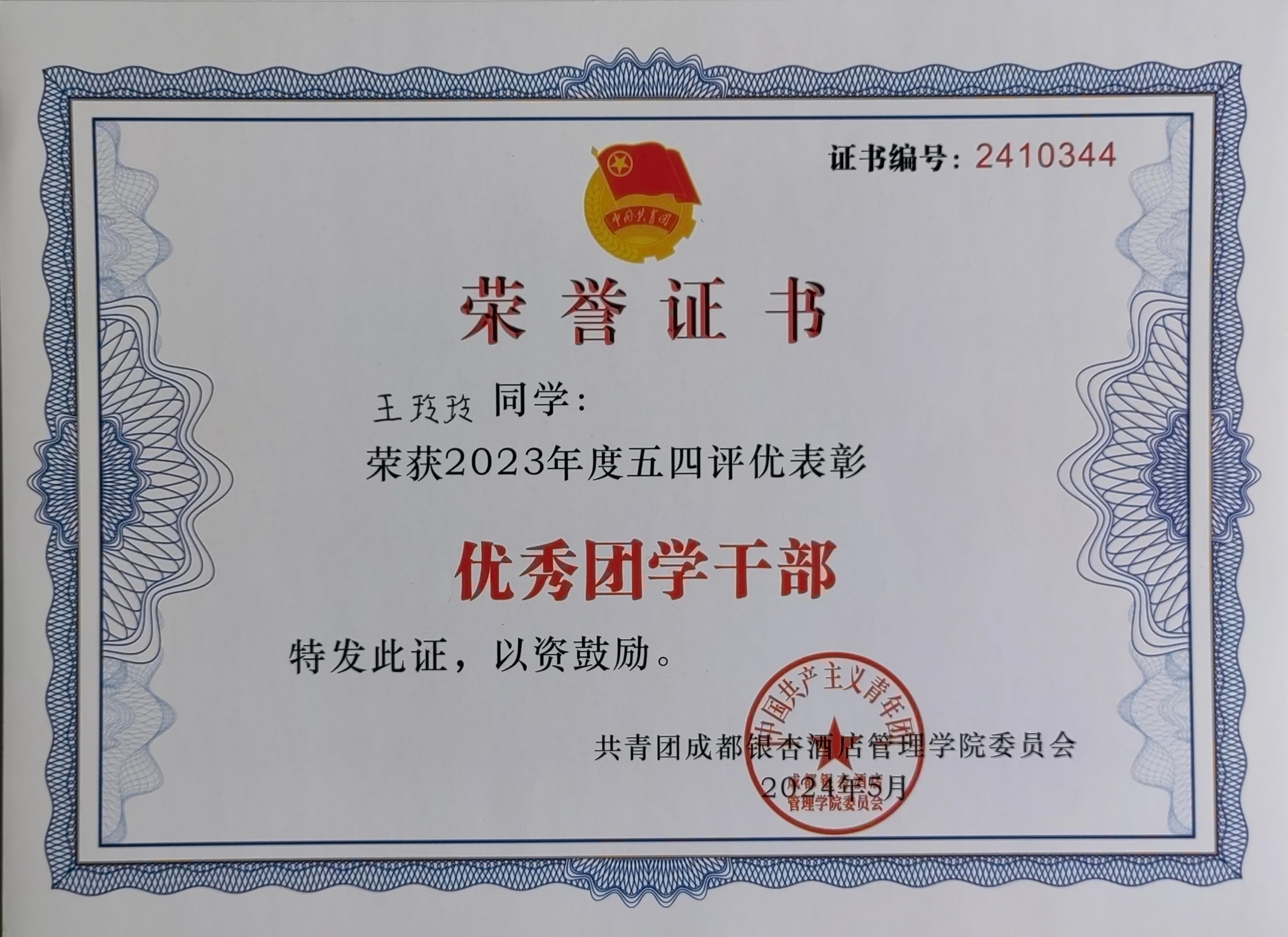 优秀团学干部