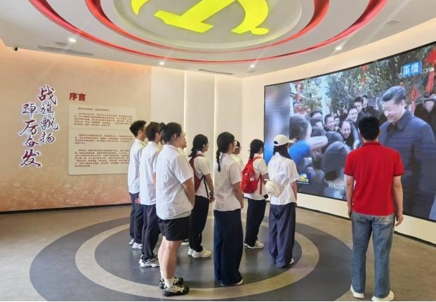 图片8